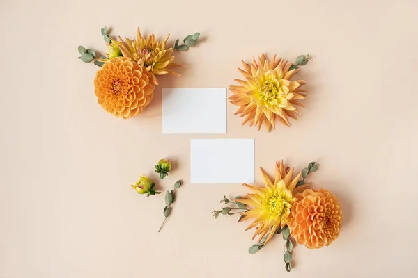 空白纸卡 复制空间模型模板 框架由美丽的生姜大丽花花蕾在桃红色的果子酱背景 平面布局 顶视图简约的花卉概念 — 图库照片