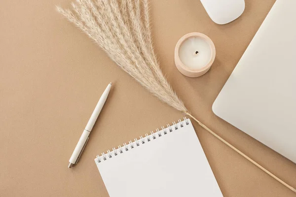 Minimal home office desk workspace on pastel beige background. Blank sheet notebook, laptop, pampas grass branch, decorations. Business, work template with copy space for blog, website, social media.