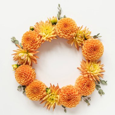 Turuncu yıldız çiçeği tomurcuklarından ve beyaz arka planda okaliptüs dallarından yapılmış yuvarlak, boş bir çerçeve çelengi. Düz, üst görünüm minimalist natüralistik hayat yaratıcı çiçek kompozisyonu.