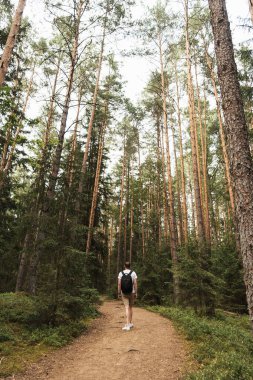 Genç adam ormanda yürüyor. Seyahat konsepti.