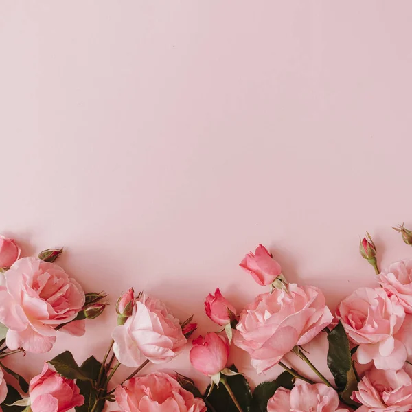 Mooie Roze Rozen Bloemen Roze Achtergrond Flatlay Bovenaanzicht Minimalistische Bloemcompositie — Stockfoto