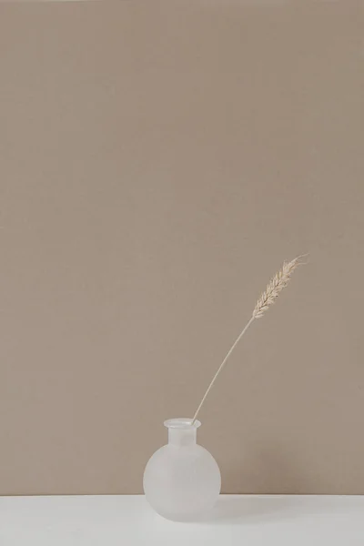 Centeio Haste Orelha Trigo Vaso Sobre Mesa Branca Contra Fundo — Fotografia de Stock