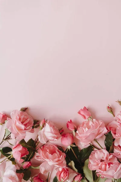 ピンクのバラの花はピンクの背景に花束 フラットレイアウト トップビュー最小限の花の組成 — ストック写真