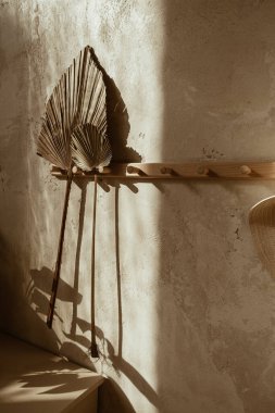 Boho tarzı modern ev dekorasyonu. Beton duvara asılmış kuru palmiye yaprağı. Duvarda güneş ışığı gölgeleri.