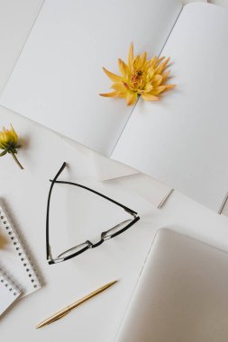 Minimalist ofis masası çalışma alanı. Boş kağıtlar, dizüstü bilgisayarlar, bardaklar, sarı çiçek tomurcukları, kırtasiye malzemeleri. Düz yerde, üst tarafta. Web günlüğü, sosyal medya ve web sitesi için yer modelleme şablonunu kopyala.