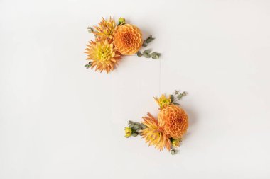 Beyaz arka planda güzel zencefilli yıldız çiçeği tomurcuklarından yapılmış çerçeve. Düz uzanma, üst görünüm minimalist çiçek konsepti. Boşluk kopyalama alanı modelleme şablonu.