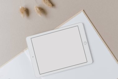 Boş ekran tableti. Tarafsız pastel arka planda pofuduk ponpon bitkisi. Düzlük, üst görünüm minimum yaşam tarzı blogu, web sitesi şablonu. Boşluk modellemesini kopyala.