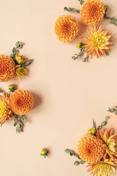 Rámeček Krásné Zázvoru Dahlia Květinové Pupeny Broskvové Pastelové Pozadí Prázdná — Stock fotografie