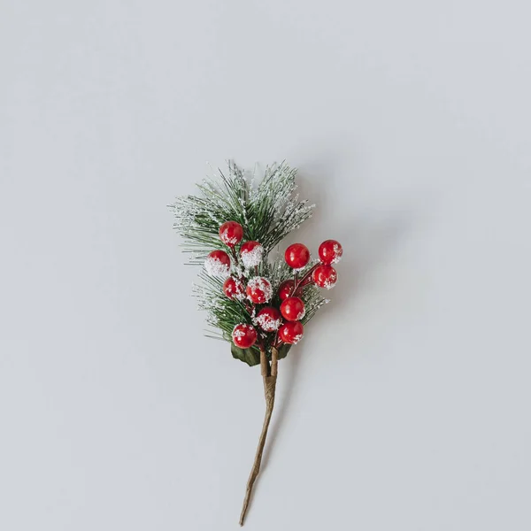 Rote Beeren Und Tannennadeln Duften Auf Neutralem Hintergrund Komposition Weihnachten — Stockfoto