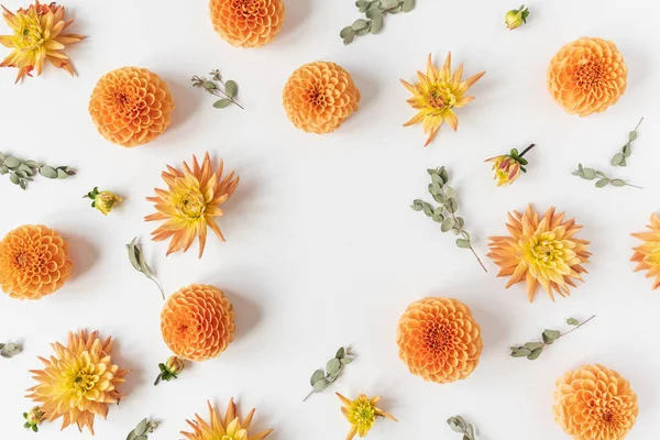Blank Copy Space Mockup Frame Made Beautiful Orange Dahlia Flower — Stock Photo, Image