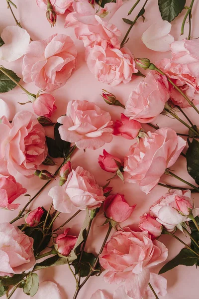 Mooie Roze Rozen Bloemen Patroon Roze Achtergrond Flatlay Bovenaanzicht Minimalistische — Stockfoto