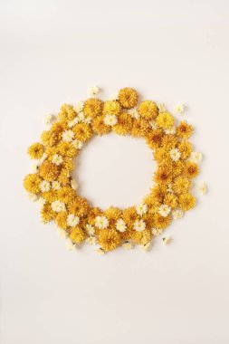 Çiçek kompozisyonu. Beyaz arka planda sarı yabani çiçeklerden yapılmış çelenk çerçevesi. Düz konum, üst görünüm, kopyalama alanı.
