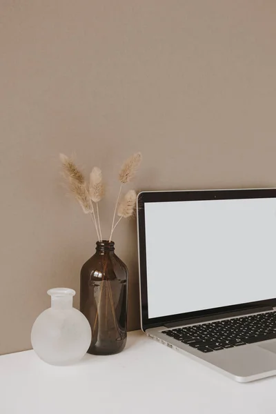 Portátil Pantalla Blanco Hogar Escritorio Escritorio Mesa Trabajo Con Planta —  Fotos de Stock