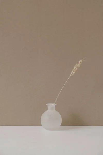 Pot Fleurs Élégant Avec Tige Sèche Blé Seigle Sur Fond — Photo