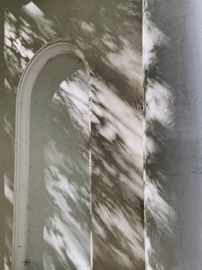 Güneş ışığındaki ağaç gölgeleri. Tarafsız beyaz arka planda güzel bir çiçek silueti.