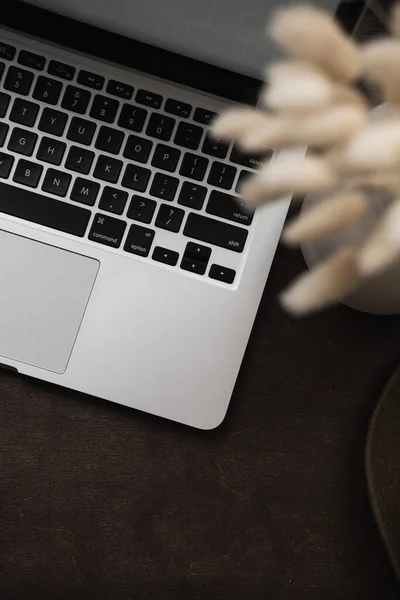 Aesthetic flatlay of laptop computer, bunny rabbit tail grass bouquet on deep brown background. Blog, social media, web, magazine concept. Flat lay, top view.