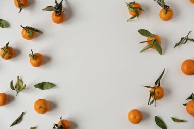 Ham portakallardan yapılmış boş fotokopi alanı olan yuvarlak çerçeve, beyaz arka planda yeşil yapraklı meyveler. Sağlıklı gıda konsepti. Düz yatış, üst görünüm.