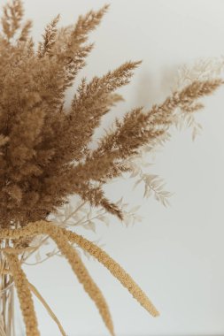 Beyaz arka planda sazlıklar çim yaprağı buketi.