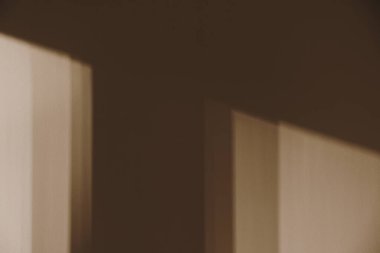 Duvardaki gölgeler. Güneş ışığında siluet. Estetik iç mekan kavramı.