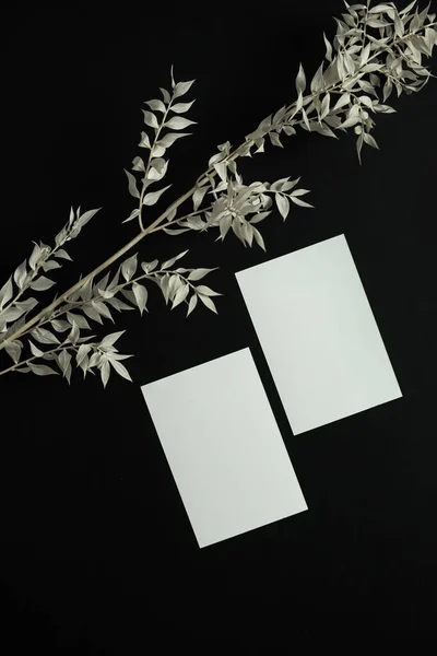 Blank Paper Sheet Card Mockup Copy Space Dry Floral Branch — Stock Photo, Image