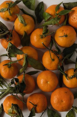 Çiğ portakal, mandalina, beyaz arka planda yeşil yapraklı meyveler. Sağlıklı gıda konsepti. Düz yatış, üst görünüm.