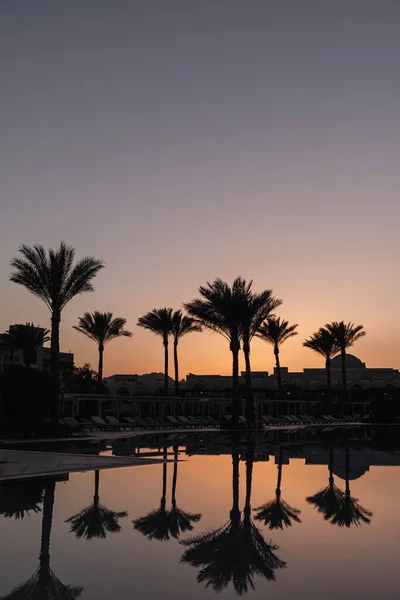 Estate Palme Cocco Tropicali Tramonto Cielo Silhouette Riflesso Acqua Sfondo — Foto Stock