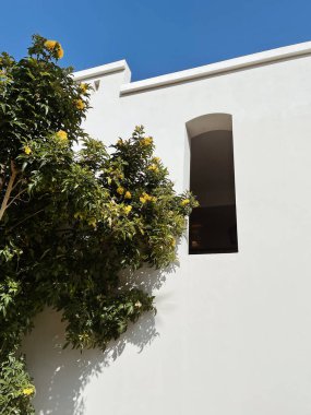 Sarı çiçekli tropikal ağaç ve beyaz evin yanında yemyeşil yapraklar, tatil köyü binası. Seyahat, yaz tatili konsepti