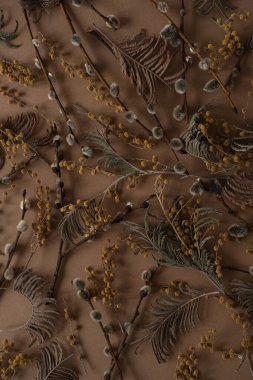 Floral pattern with small mimosa flowers, juniper, pussy willow buds on brown background. Flat lay, top view