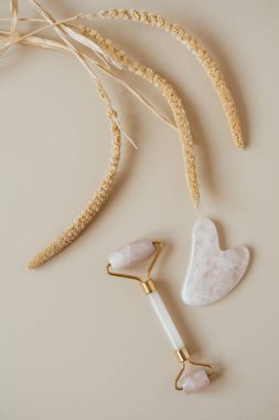 Gua sha masaj silindiri, taş kazıyıcı aleti ve doğal bej arka planda kuru bitki. Düz yatış, üst görünüm estetik cilt bakımı sağIık tedavisi konsepti