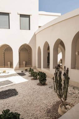 Beyaz evin yanında yemyeşil yaprakları olan tropik bir bitki, mavi gökyüzü arka planına sahip bir tatil köyü. Seyahat, yaz tatili konsepti