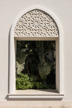 Güneş ışığı gölgeli bej bina penceresinde güzel bir tropikal palmiye ağacı