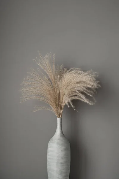 タン葦 灰色の背景に粘土鍋でパンパス草花束 ミニマルなモダンなインテリア装飾のコンセプト 中性灰色の背景の花の組成 — ストック写真