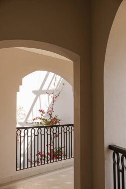 Güneş ışığı gölgeli bej bina penceresinde kırmızı çiçekli güzel tropikal bitki ağacı. Minimal yaratıcı yaz çiçekleri arka planı