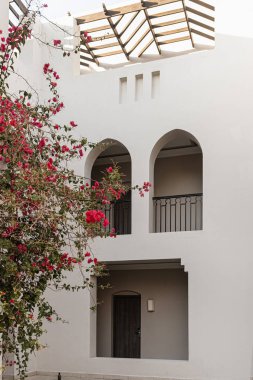 Bej duvarda kırmızı çiçekler ve güneş ışığı gölgeleri. Estetik yaz çiçekli arkaplan kompozisyonu