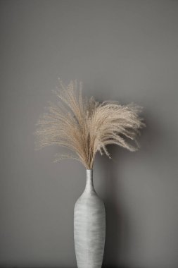 Bej rengi sazlıklar, gri duvara karşı otlar. Tarafsız renklerle güzel bir iç konsept. Estetik asgari, şık, moda konsepti. Paris titreşimleri