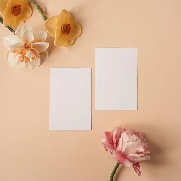 Blanco Papier Vel Kaart Met Mockup Kopieerruimte Narcissen Roos Bloemen — Stockfoto