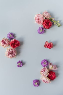 Yuvarlak çerçeve çelengi. Mavi arka planda pembe gül çiçeklerinden yapılmış boş bir kopya alanı var. Düz konum, üst görünüm minimal çiçek bileşimi.