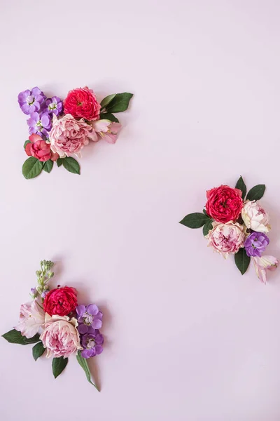 Rahmen Aus Rosa Blütenknospen Auf Rosa Hintergrund Flachlage Draufsicht Blick — Stockfoto