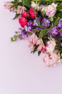 Pembe arka planda renkli gül çiçekleri olan estetik bir arka plan. Güzel çiçek kompozisyonu