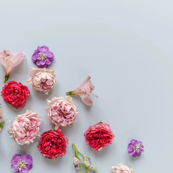 Абстрактный Цветочный Фон Цветки Розовых Красных Роз Красивые Цветы Лепестки — стоковое фото