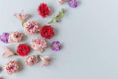 Renkli kırmızı ve pembe gül çiçekleri ve mavi arka planda mor çiçekleri olan estetik bir arka plan. Güzel çiçek kompozisyonu