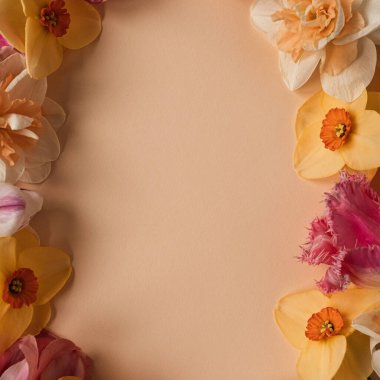 Renkli çiçekli estetik bir arka plan. Güzel çiçek şablonu kompozisyonu. Boş kopya alanı olan yuvarlak çelenk çerçevesi arkaplan oluşturur. Düz yatış, üst görünüm