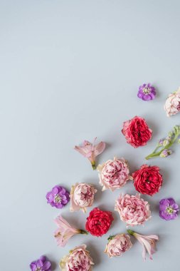 Soyut çiçek arkaplanı. Renkli pembe ve kırmızı gül çiçekleri arka plan. Güzel çiçekler ve taç yaprakları. Sanatsal botanik şablonu