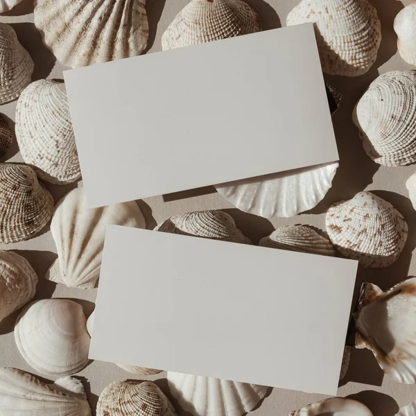 Neutro Bege Branco Conchas Fundo Padrão Folha Cartão Papel Branco — Fotografia de Stock