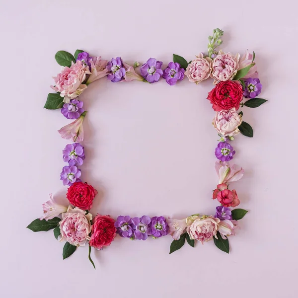 Quadratischer Rahmen Aus Rosa Blütenknospen Auf Rosa Hintergrund Flachlage Draufsicht — Stockfoto