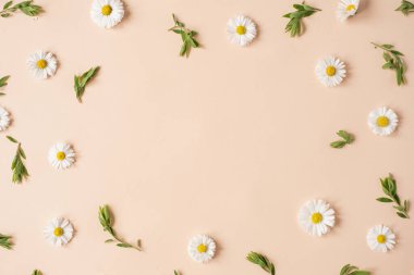 Renkli papatya çiçeği tomurcuklarından oluşan yuvarlak çiçekli bir çelenk. Tarafsız şeftali arkaplan ve boş fotokopi alanı modeli. Düz yatış, üst görünüm