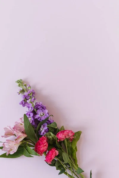 ピンクの背景にカラフルなバラの花を持つ審美的な背景 美しい花の構図 — ストック写真