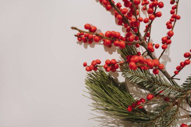 Kırmızı Böğürtlenli Kış Tatili Estetiği ve Evergreen Yaprakları. Noel Kutlama Arkaplanı ya da Kopya Alanı ile Tebrik Kartı Şablonu