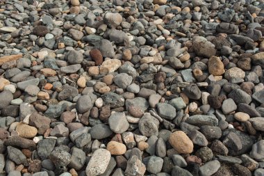 Kıyı şeridindeki Çakıl ve Kayaların Yakın Çekimi