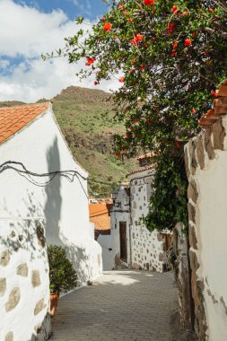 Beyaz Yıkanmış Binalarla Büyüleyici Dar Sokak